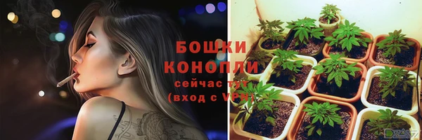 ГАЛЛЮЦИНОГЕННЫЕ ГРИБЫ Инта