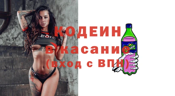ГАЛЛЮЦИНОГЕННЫЕ ГРИБЫ Инта