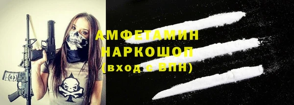 ГАЛЛЮЦИНОГЕННЫЕ ГРИБЫ Инта