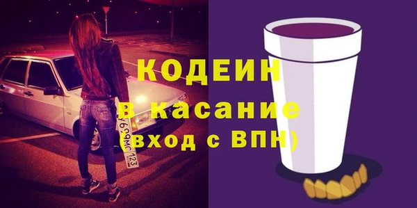 ГАЛЛЮЦИНОГЕННЫЕ ГРИБЫ Инта