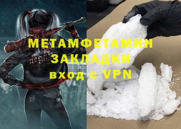 ГАЛЛЮЦИНОГЕННЫЕ ГРИБЫ Инта