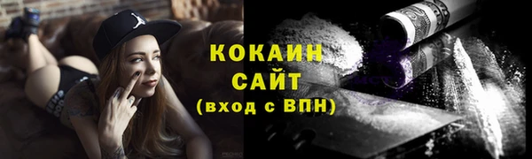 ГАЛЛЮЦИНОГЕННЫЕ ГРИБЫ Инта