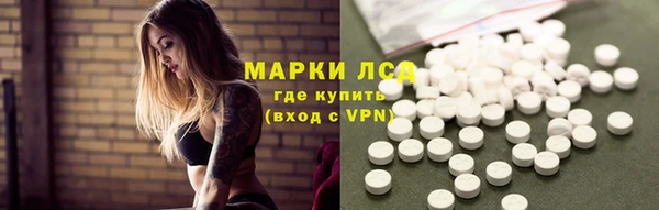 ГАЛЛЮЦИНОГЕННЫЕ ГРИБЫ Инта
