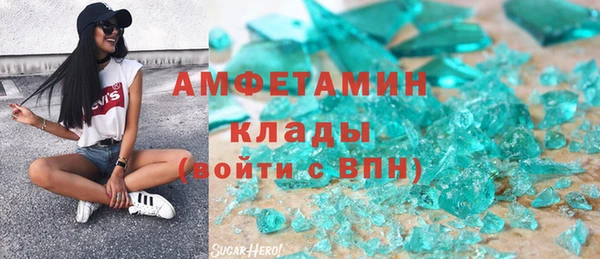 ГАЛЛЮЦИНОГЕННЫЕ ГРИБЫ Инта