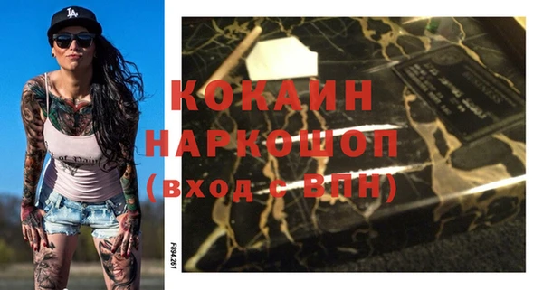 ГАЛЛЮЦИНОГЕННЫЕ ГРИБЫ Инта