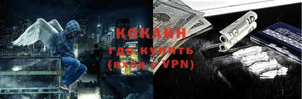 ГАЛЛЮЦИНОГЕННЫЕ ГРИБЫ Инта