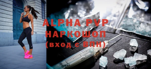 ГАЛЛЮЦИНОГЕННЫЕ ГРИБЫ Инта