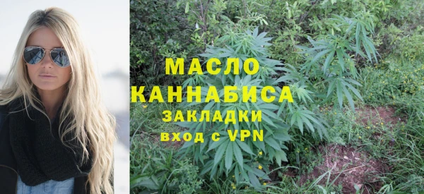 ГАЛЛЮЦИНОГЕННЫЕ ГРИБЫ Инта