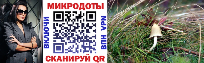 Галлюциногенные грибы мицелий  Купить закладки  Медвежьегорск 